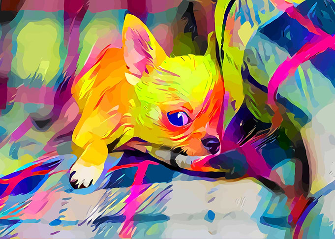 Chihuahua