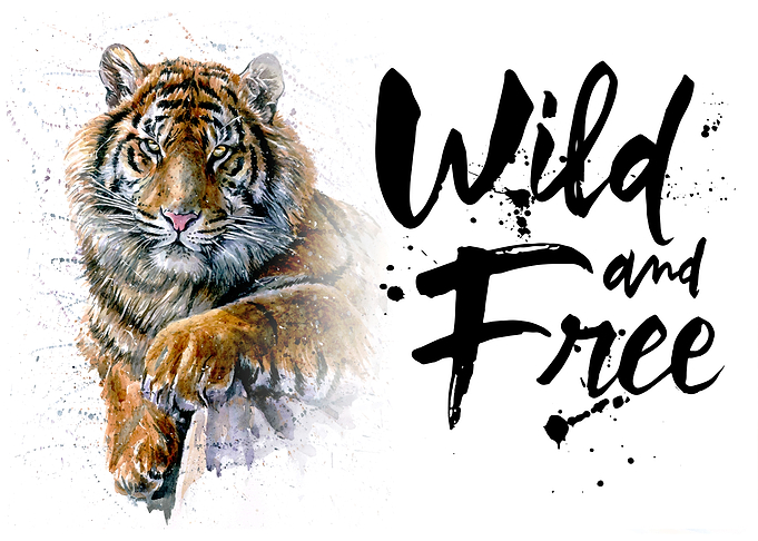 Tiger Wild and Free