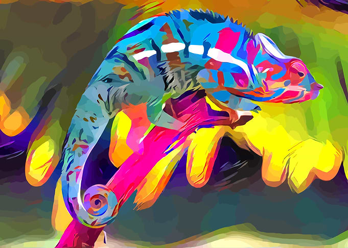 Chameleon