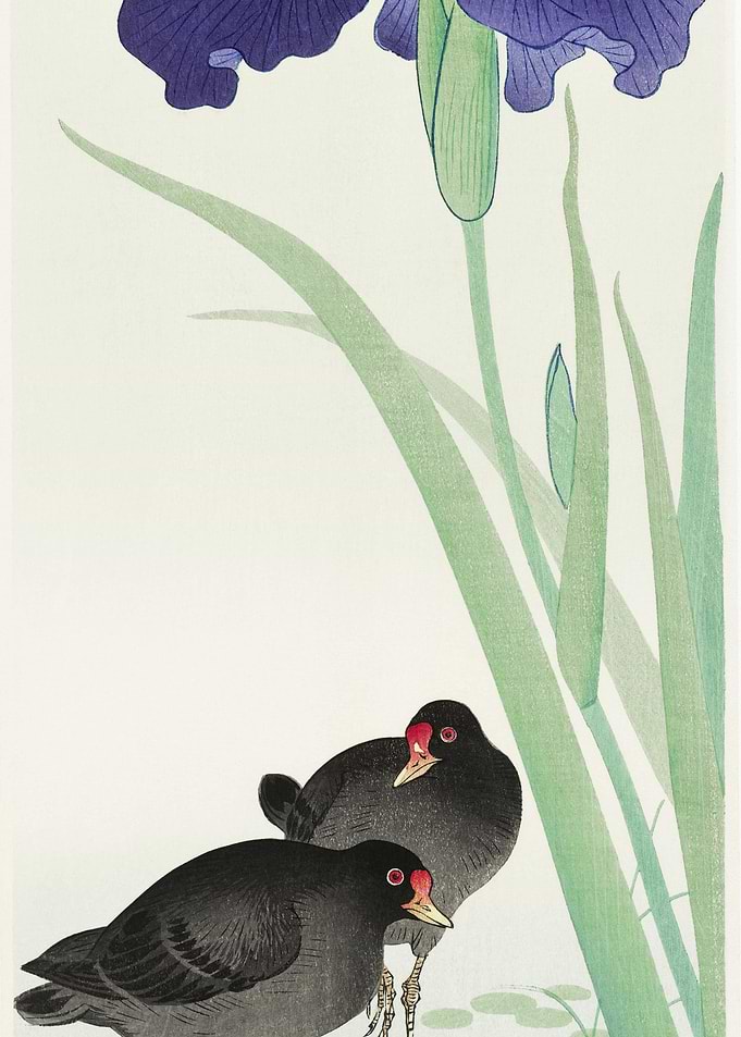 Waterhoots And Iris 1925