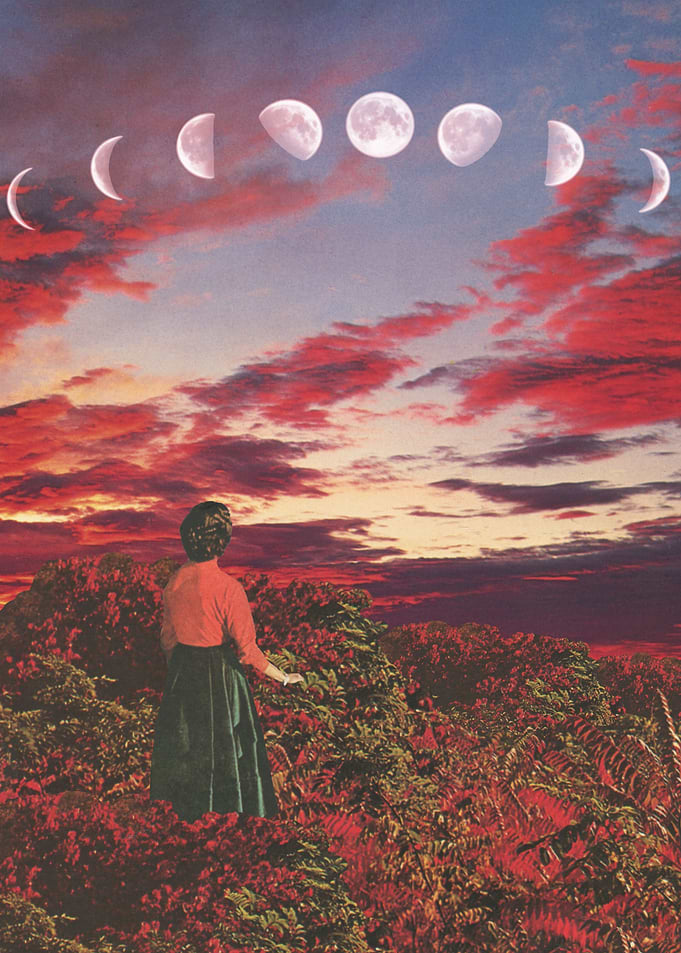 Crimson Paradise