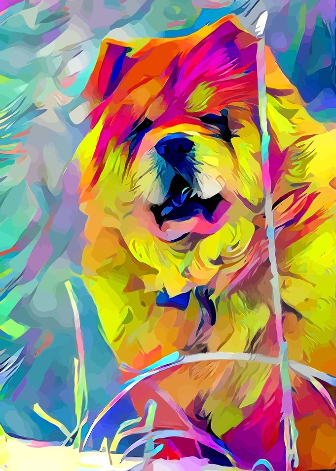 Chow Chow