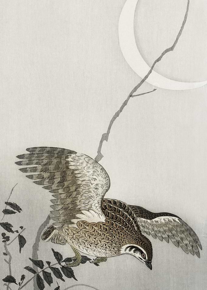 Quail At Moon Sickle 1900