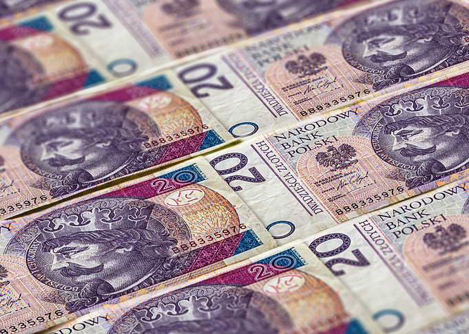20 Polish Zloty pattern