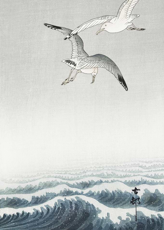 Three Seagulls 1900 1936