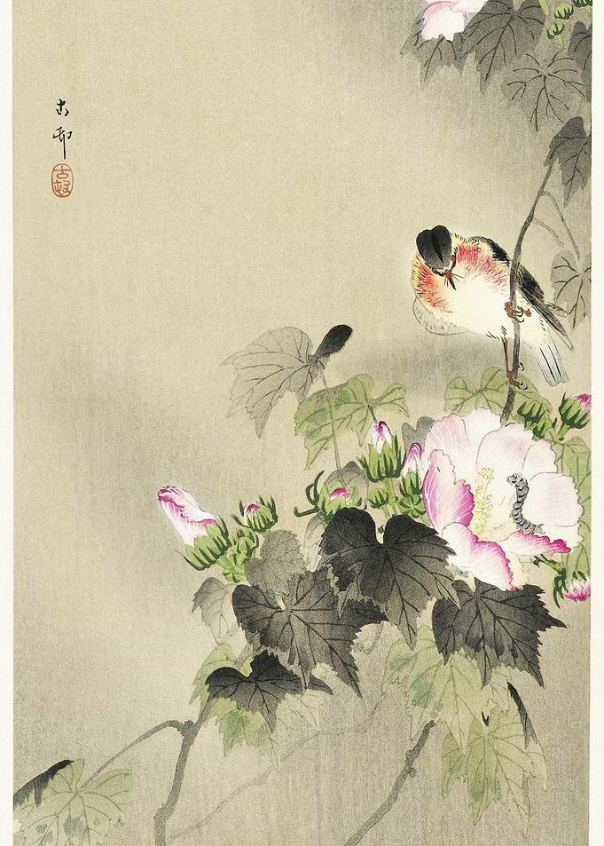 Bird And Caterpillar 1900