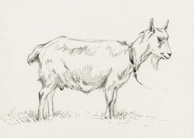 Standing Goat 1809 By Jean