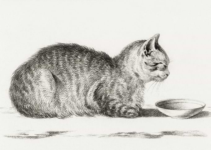 Lying Cat For A Dish 1812