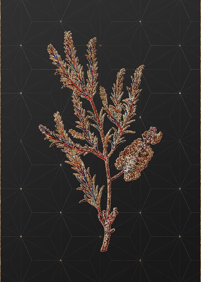Rainbow Mosaic Botanical
