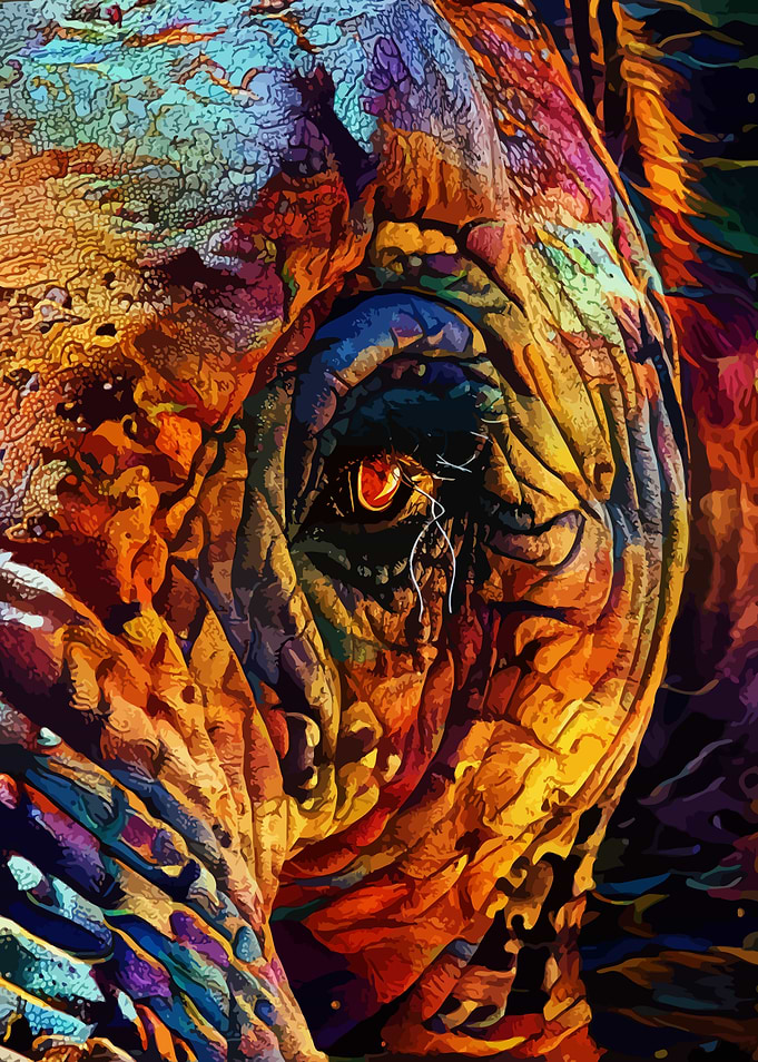 Elephant Eye