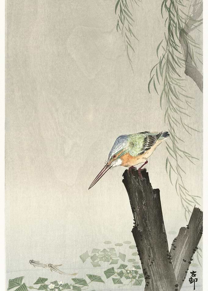 Kingfisher On A Tree Stump