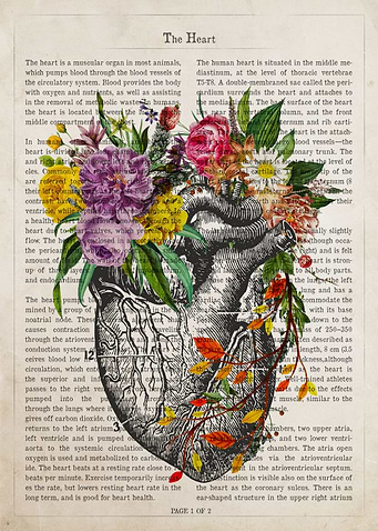 Heart Flower Anatomy
