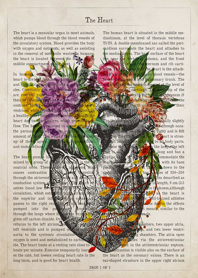 Heart Flower Anatomy