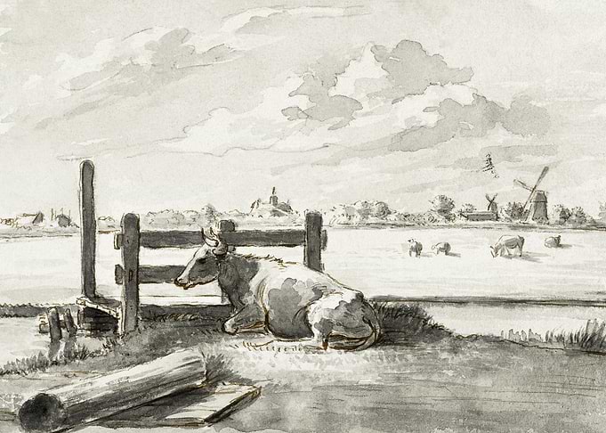Whey With Lying Cow By Jea