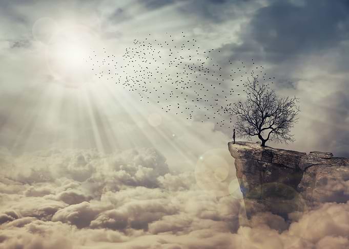 the tree of death