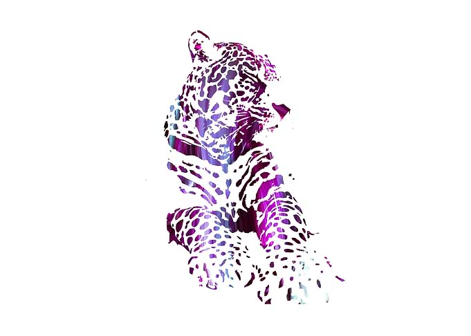 chilled leopard