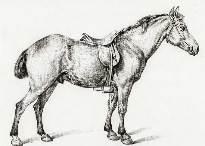 Standing Horse By Jean Ber