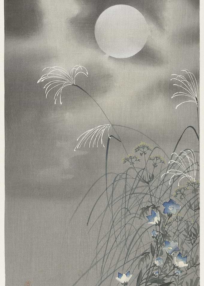 Grass And Flowers At Full