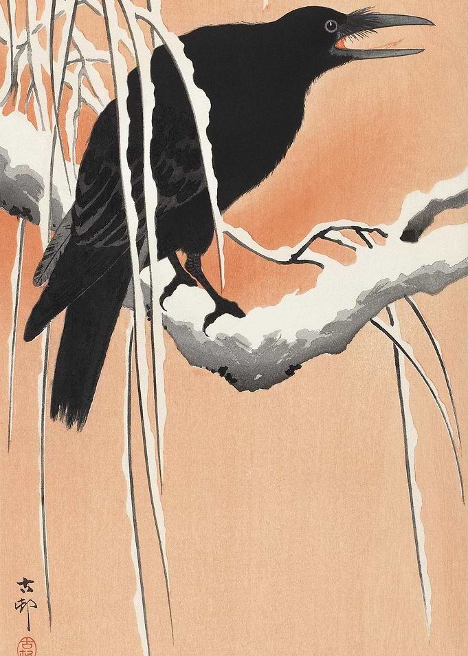 Crow On Snowy Branch 1900
