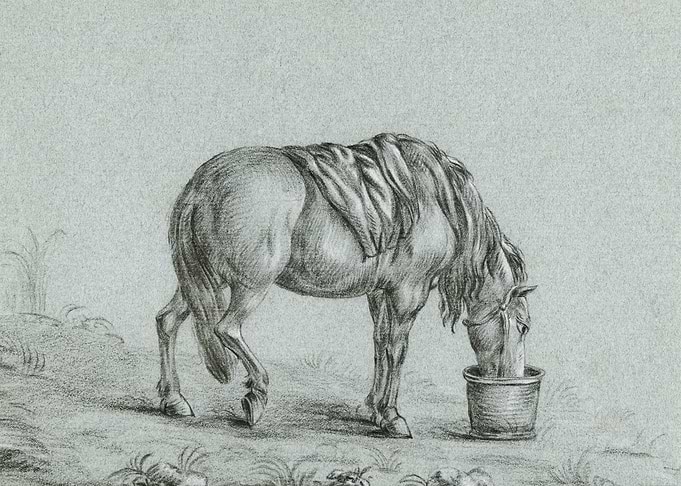 Horse Eating From A Bin By