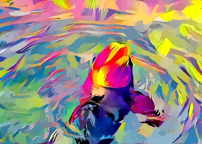 Dolphin