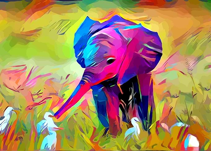 Baby Elephant