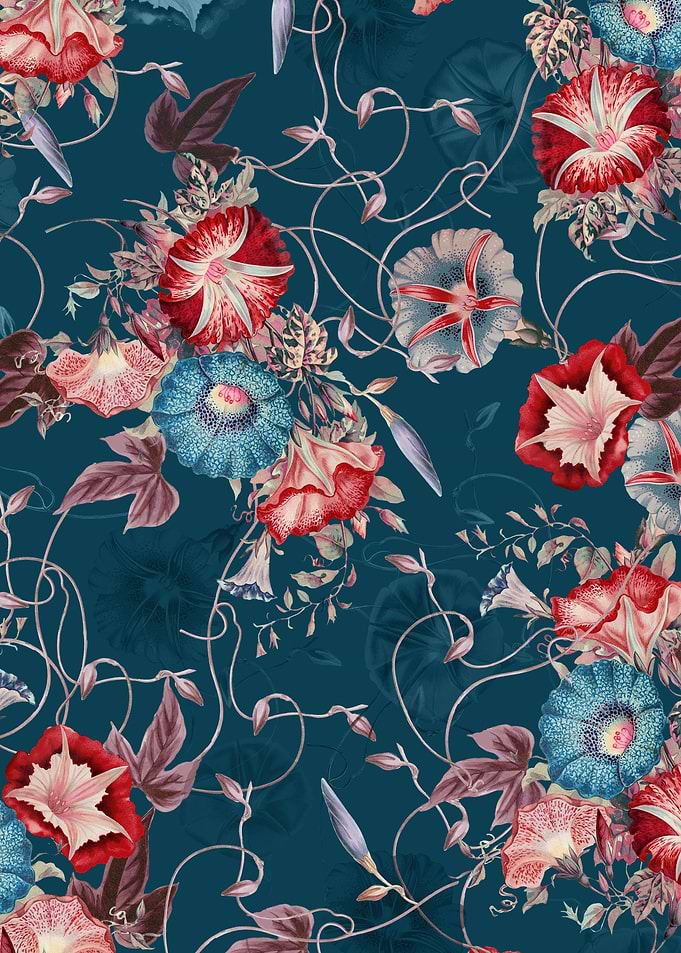 Morning Glories Floral