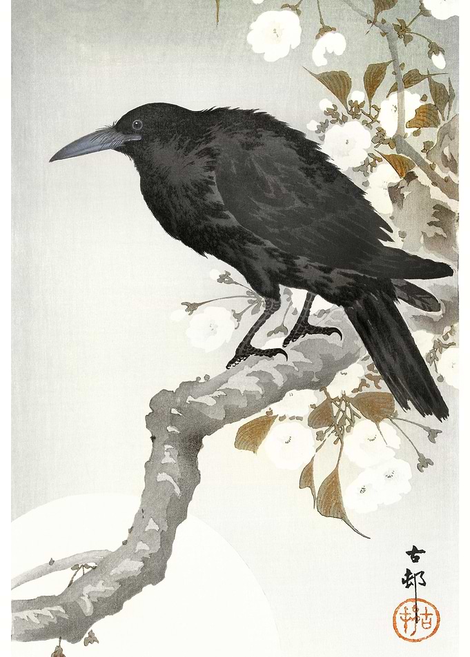 A Crow And The Full Moon 1