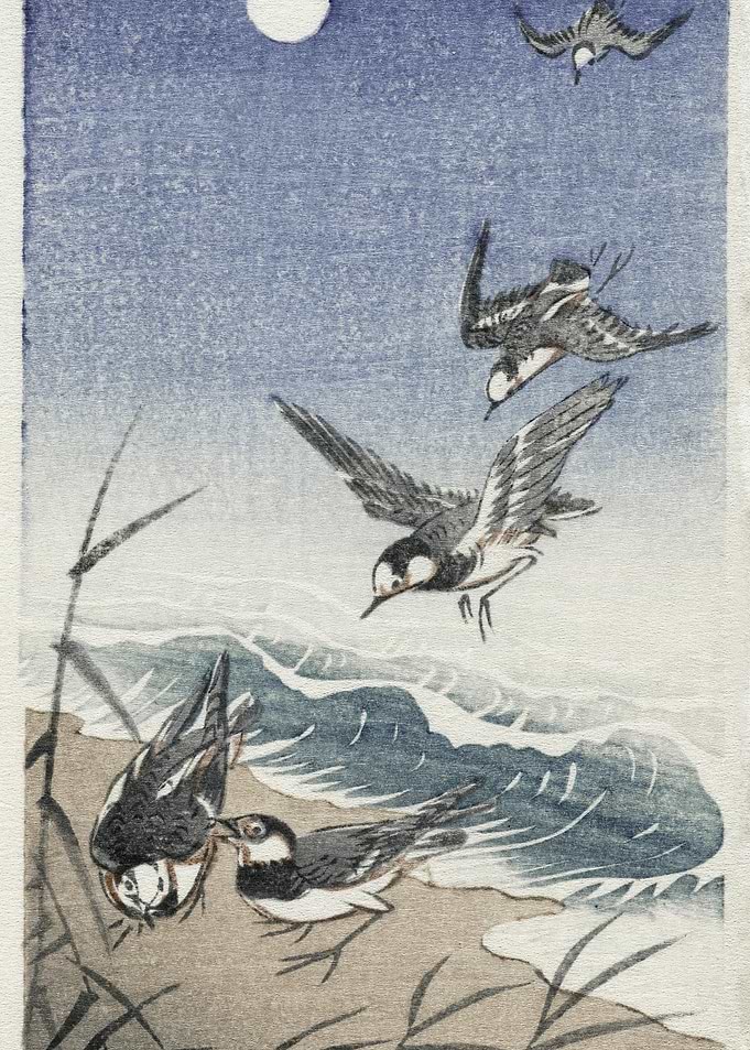 Birds At Full Moon 1900 1
