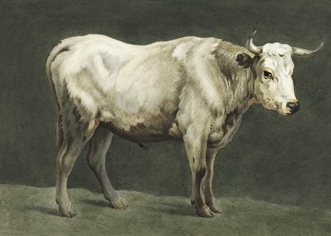 Standing Bull Painting By