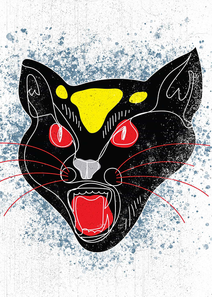 Angry Cat