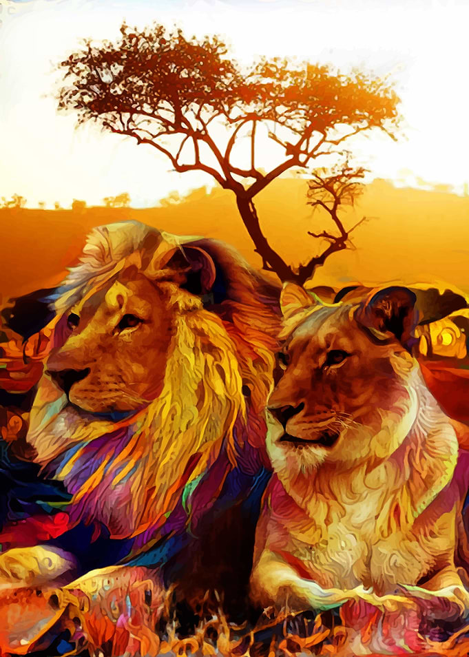 Lion sunset