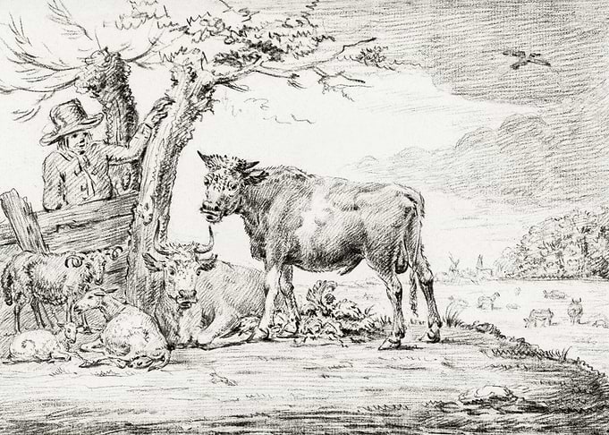 Farmer Standing At A Fence