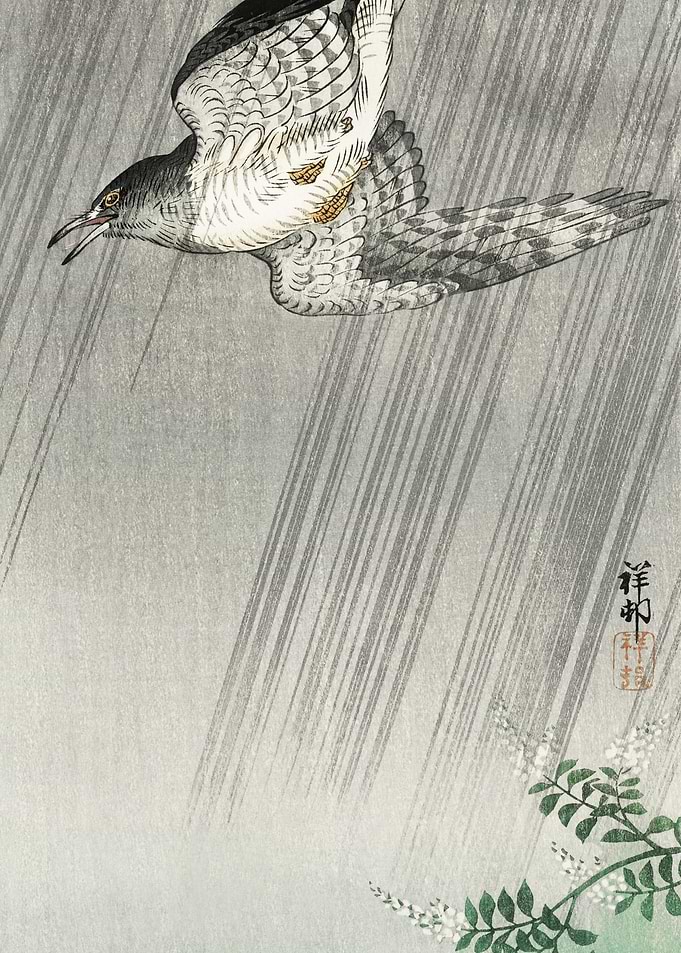 Cuckoo In Storm 1925 1936