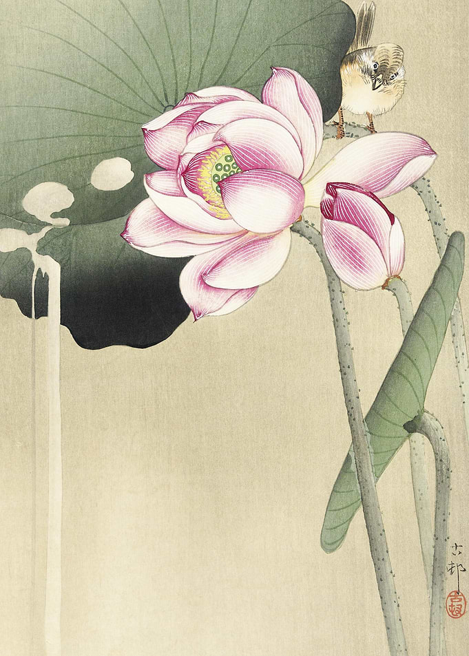 Songbird And Lotus 1900 1
