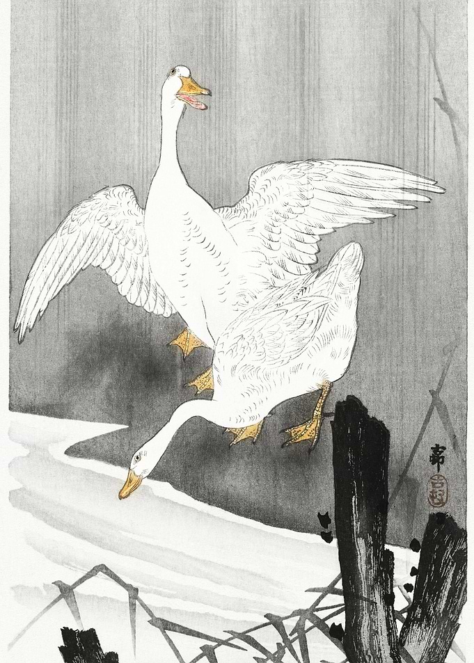 Two Geese On A River 1900