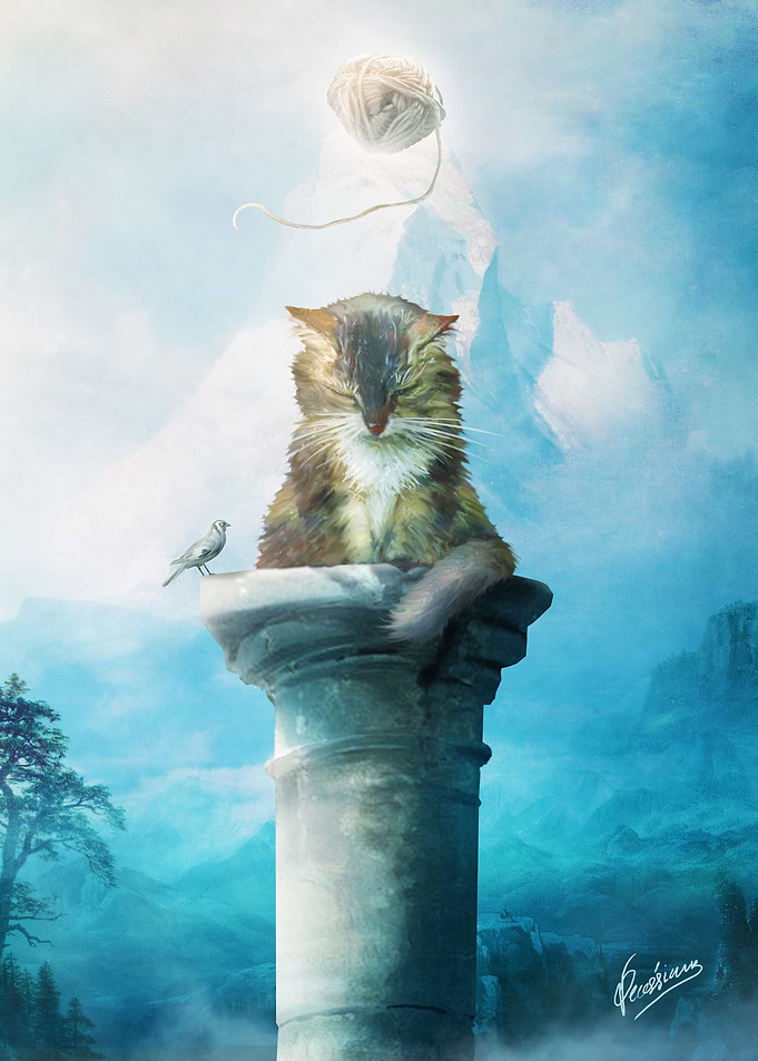 Nirvana Cat