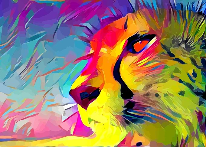 Cheetah
