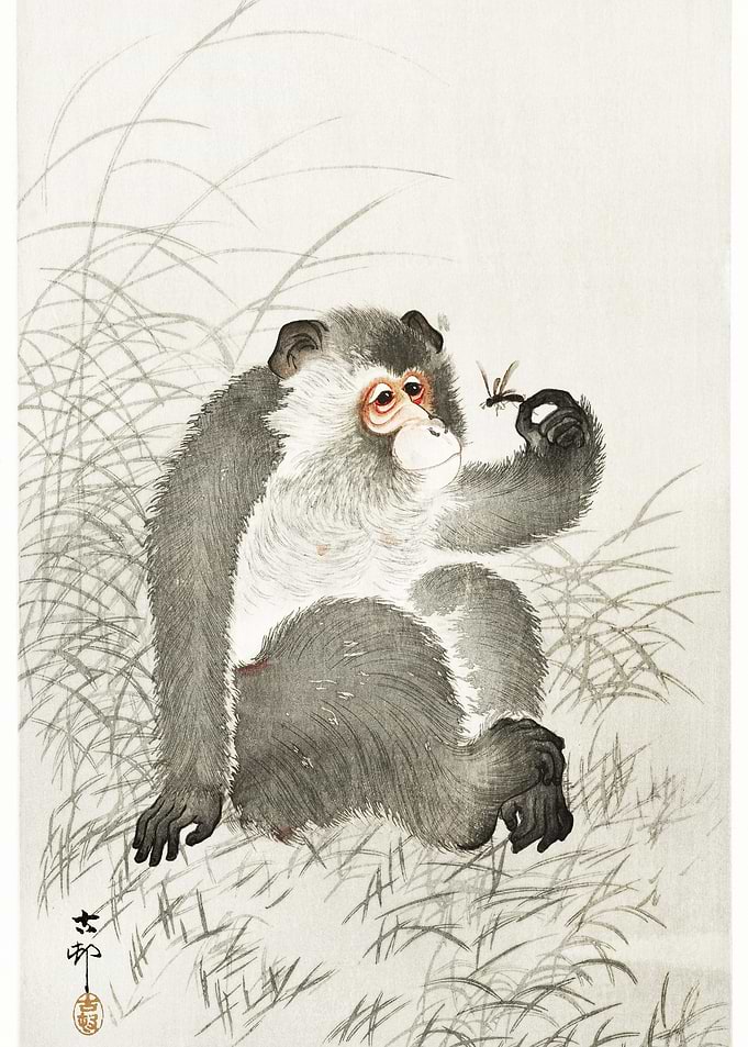 Monkey With Insect 1900 1