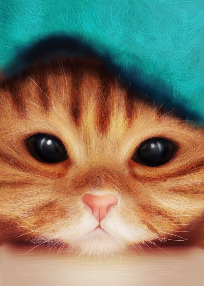KittenFace