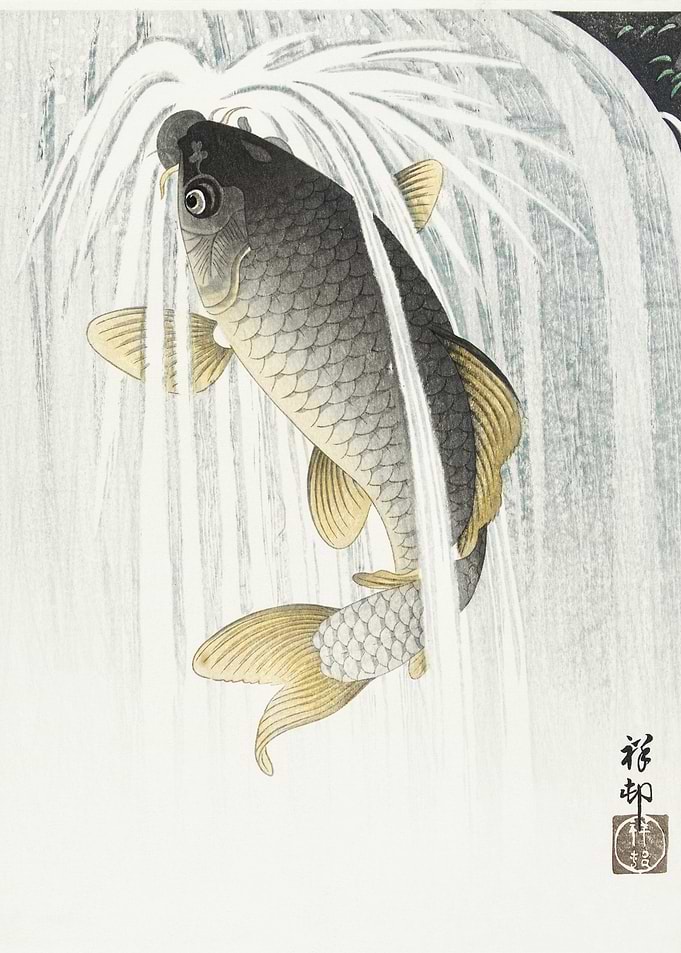 Carp 1935 By Ohara Koson 1