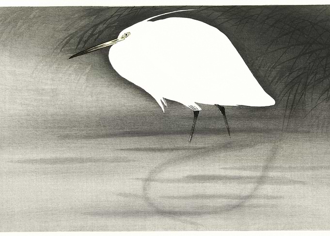 Egret 1900 1930 By Ohara