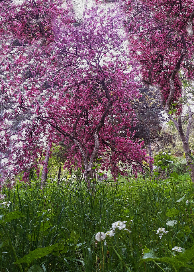 Spring garden