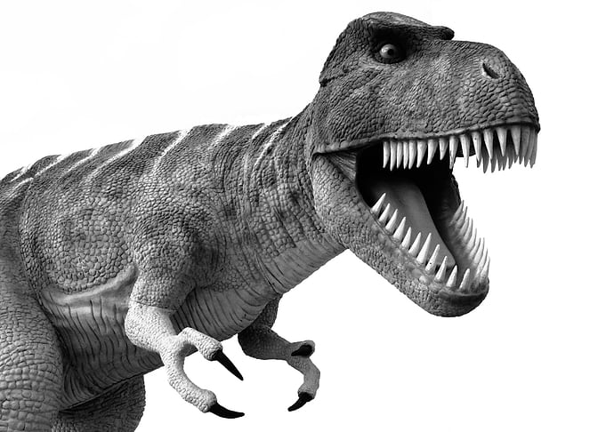Tyrannosaurus Rex dinosaur