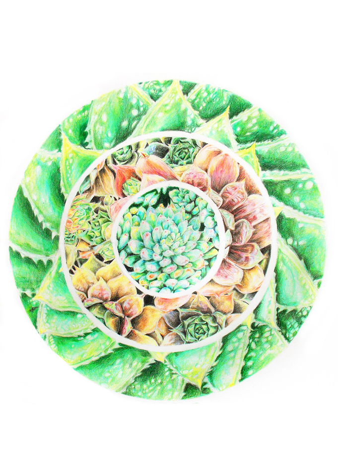 Geo Succulent