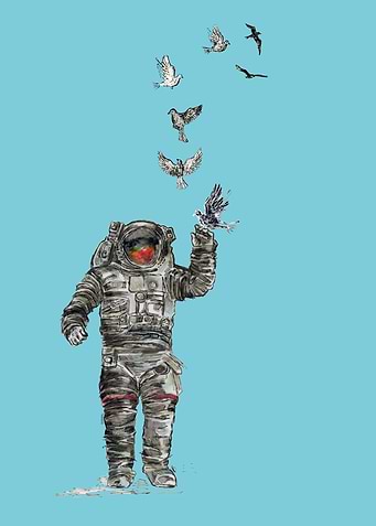 Space Birds 2
