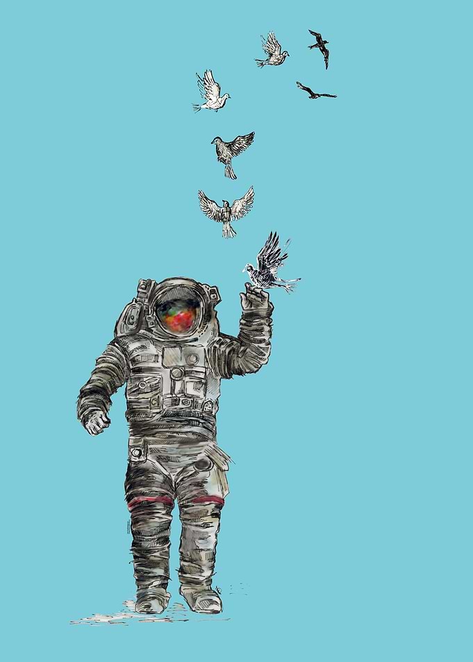 Space Birds 2