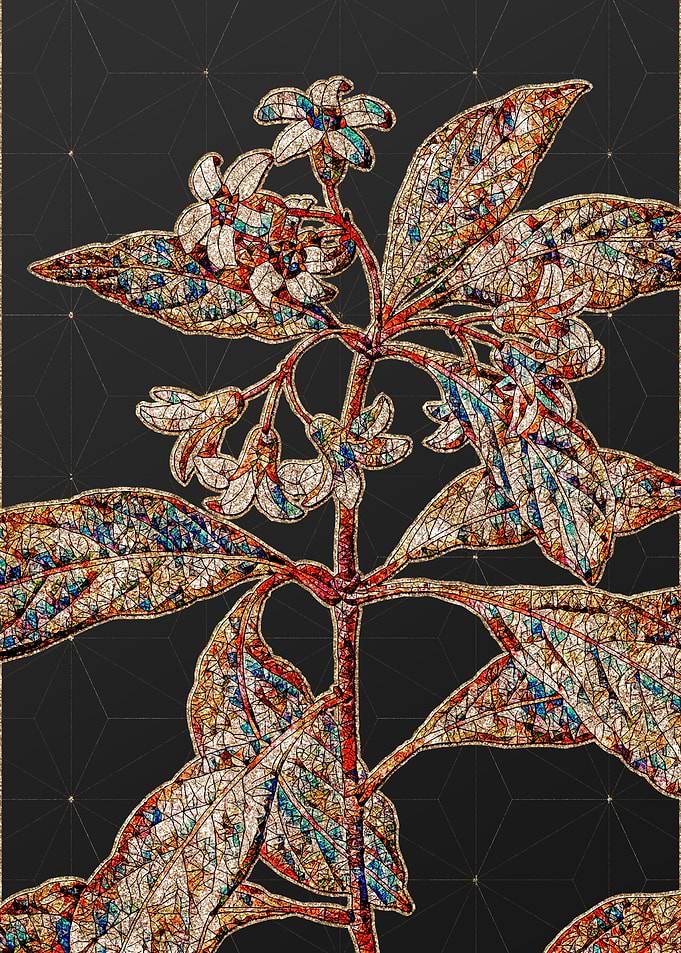 Rainbow Mosaic Botanical