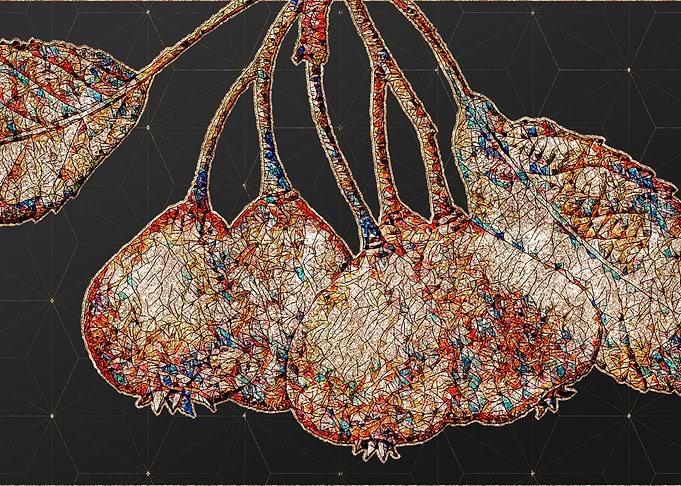 Rainbow Mosaic Botanical