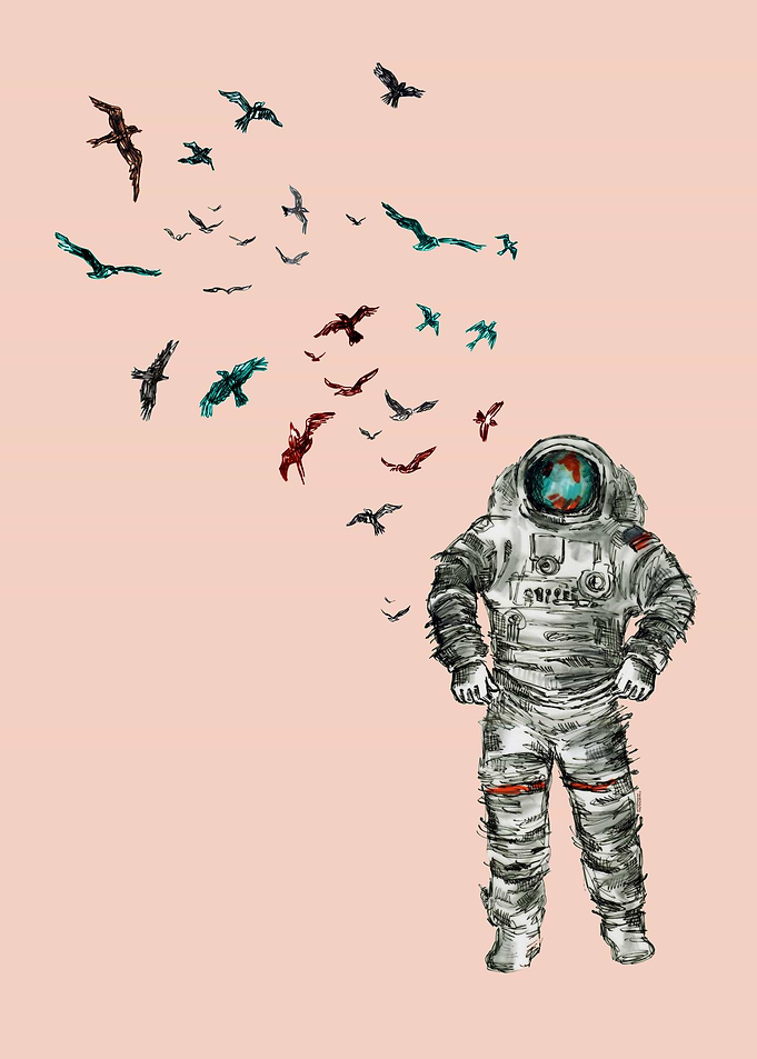 Space Birds